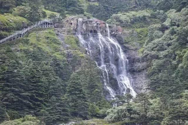 理财专员